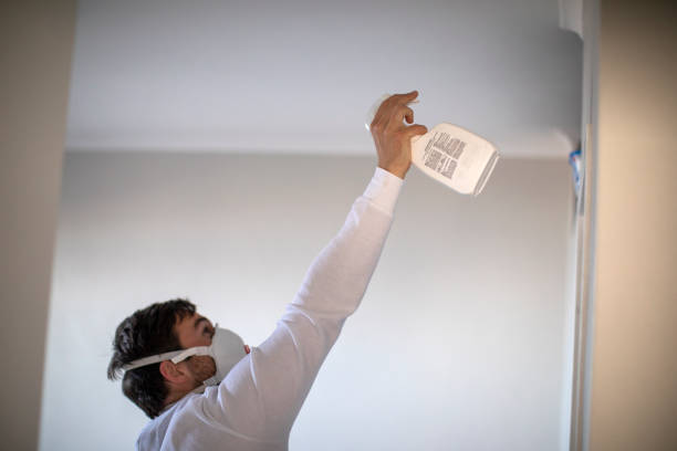 Best Localized Mold Remediation (e.g., coastal areas, humid climates) in Bridge City, LA